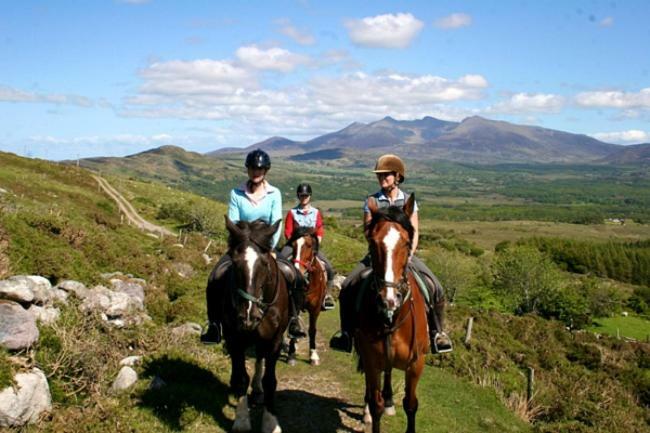 Tatler Jack Bed & Breakfast Killarney Dış mekan fotoğraf